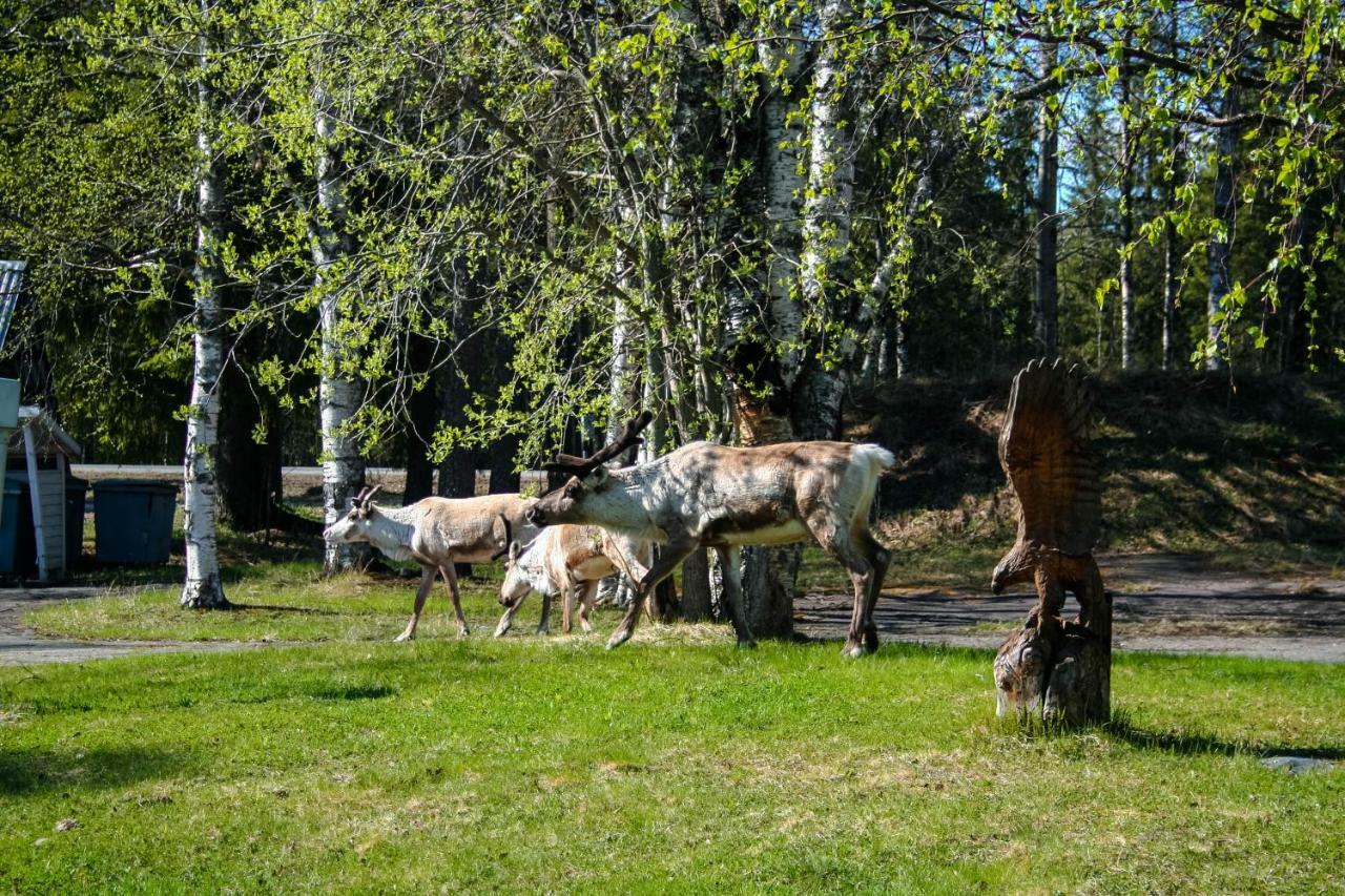 Motelli Rovaniemi Dış mekan fotoğraf