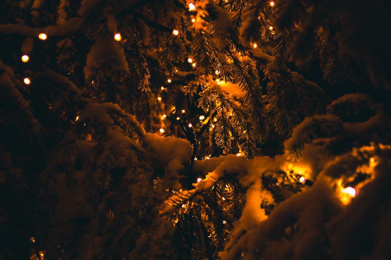 Motelli Rovaniemi Dış mekan fotoğraf